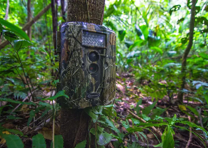 Bocawina Rainforest Resort